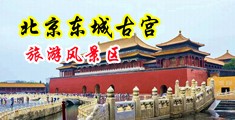 美女身体上26个小穴舔b视频无马赛克中国北京-东城古宫旅游风景区